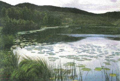 Summer Night by Kitty Lange Kielland